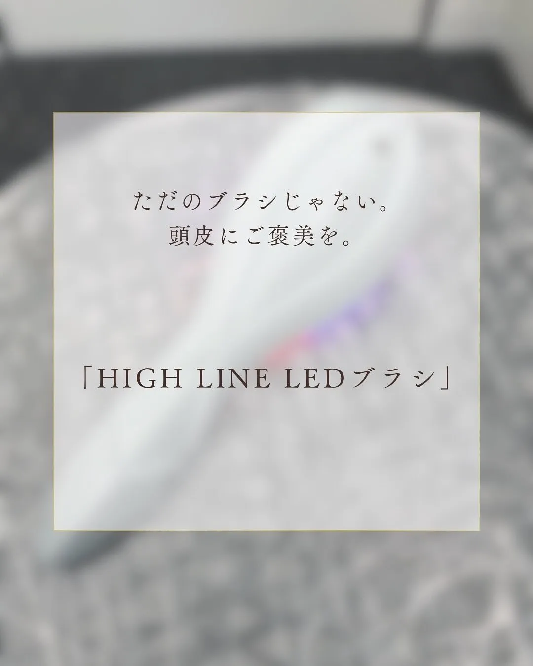 ✨皆様の髪と頭皮に愛を込めて✨